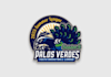 design professional basketball league logo