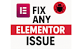 fix elementor issues, speed up, or customize your wordpress site