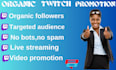 grow your twitch channel fast with real chatters