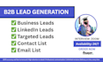 find leads and general virtual assistance