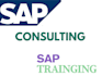 provide you consultancy in functional modules fi, co, sd, pp
