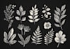 create a botanical boho logo design