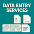 do accurate excel ata entry and copy paste tasks