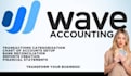 do accounting, bookkeeping and reporting  by using wave app
