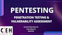 conduct penetration testing and vulnerability assessment