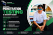 perform penetration testing and deliver a detailed security report