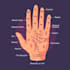 answer your questions using palmistry