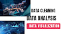 do data cleaning,data analysis,data visualization for you