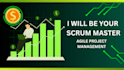 manage your web or app project as an agile project manager