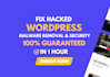 clean your hacked wordpress website, wordpress malware, wordpress security