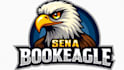 do make eagle mascot logo