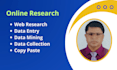 do online research, web research, date entry, data mining