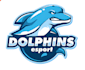 make your creative dolphin logo