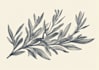 design a hand drawn botanical boho logo