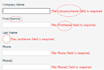 do professional website testing