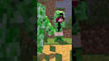 making 3d minecraft animation music video