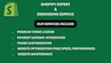 fix theme license error, shopify store errors in a pro way