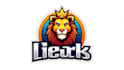 do awesome lion mascot logo design with company