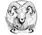 create an eye catching high quality sheep logo design