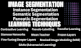 provide instance semantic and panoptic segmentation solutions