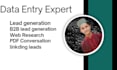 data entry expert,b2b lead generation, PDF conversation,