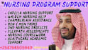 do capella, chamberlain, and walden, bsn, msn, and dnp nursing and public health