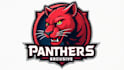 design creative red panther head mascot logo with express delivery