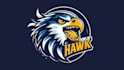 design super howlin hawk mascot logo with express delivery