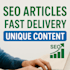 write original and SEO optimized articles or blog posts