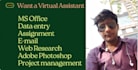 want a virtual assistant