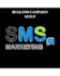 setup twilio bulk sms campaign for blasting text message,sms