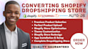 design aliexpress auto ds dropshipping shopify website, redesign shopify store
