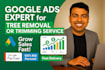 set up google ads for tree removal services