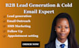 be your professional b2b sales representative and lead generation expert