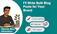 write bulk blog posts or articles for your brand or business
