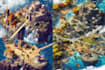 create a beautiful fantasy map in you style