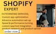 build, customize, or improve your shopify store professionally