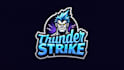 make a high quality thunder striker mascot logo  with express delivery