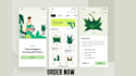 build plant identifier app plant care app crops doctor app ai identification
