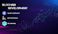 create smart contract, staking, token presale