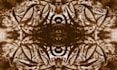 design repeat seamless pattern textile print pattern design