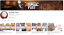 make stick figure animation for your youtube channel