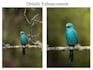 make your photos looks post ready