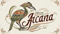 create custom african jacana logo with unlimited revisions