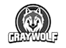 design a excellent wolf logo