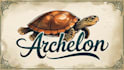 create awesome turtle logo design for your company