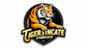 make different syndicate tiger mascot logo design with express delivery