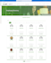 create custom solutions and webparts in spfx technology