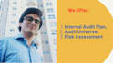 develop internal audit plans and review business controls
