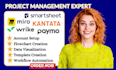 professionally setup and optimize miro smartsheet wrike paymo kantata